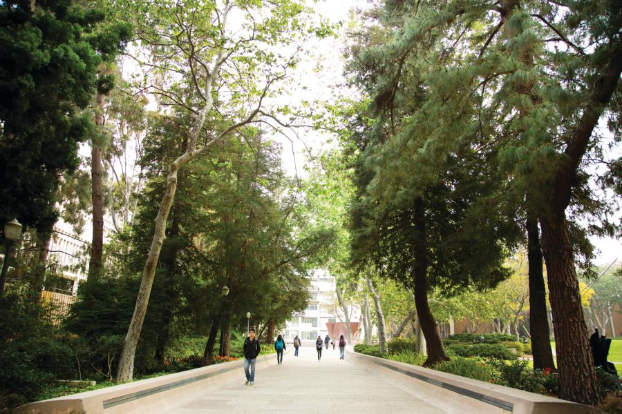 Looking north to the Broad Art Center, with the Charles E. Young Research Library on the left